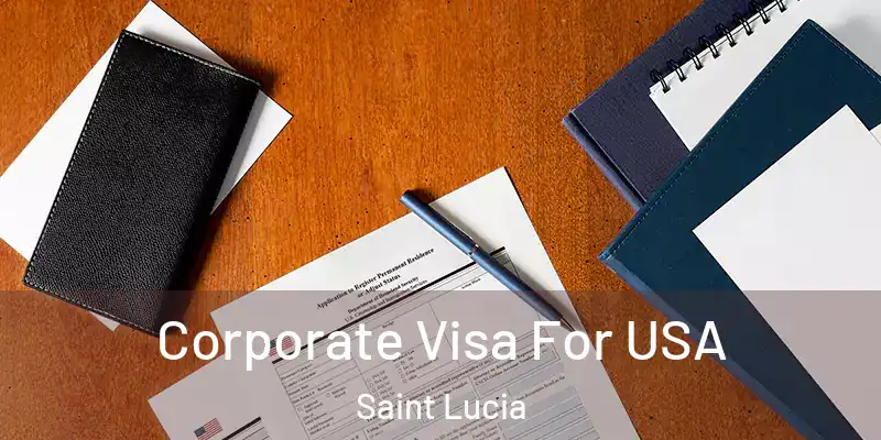  Corporate Visa For USA Saint Lucia