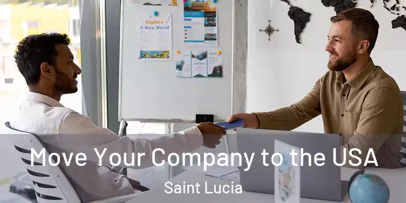  Move Your Company to the USA Saint Lucia